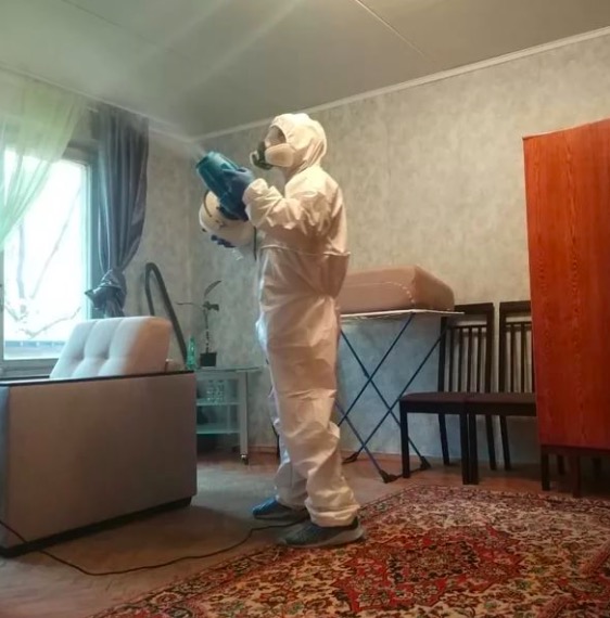 дезинсекция квартиры Ладожская метро Спб